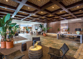 Hotel Esencia de Fuerteventura by Princess - Adults Only + 16 5