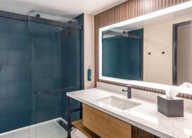 Hilton Phoenix Resort at the Peak 5