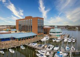 The Landing at Hampton Marina, Tapestry Collection by Hilton 3