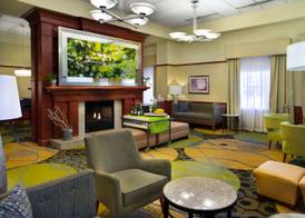 Hilton Garden Inn Detroit Downtown 2
