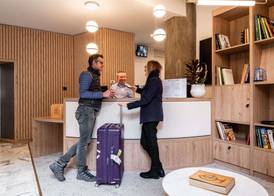 Mercure Grenoble Centre Alpotel 3