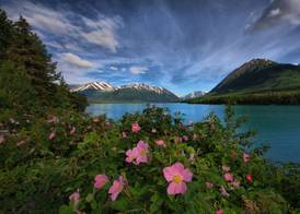 Embassy Suites by Hilton Anchorage 2
