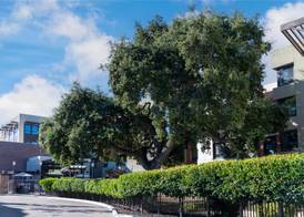 Homewood Suites by Hilton Palo Alto 4
