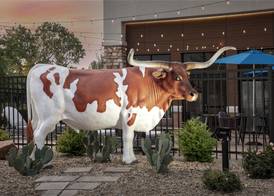 Hampton Inn & Suites Dallas-DFW ARPT W-SH 183 Hurst 2