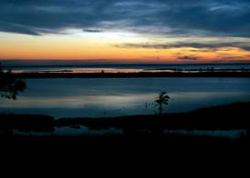 Hampton Inn Mobile-East Bay/Daphne 5
