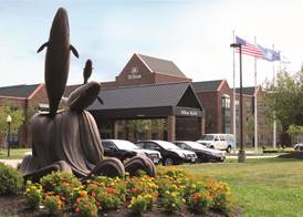Hilton Mystic 3