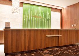 Hilton Garden Inn Central Park South 5
