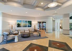 Embassy Suites by Hilton Tampa USF Near Busch Gardens 4