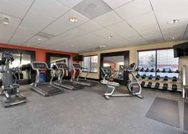 Hampton Inn Detroit/Auburn Hills South 2
