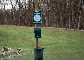 Spark by Hilton Northborough 3