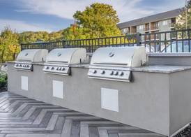 Hilton Vacation Club Mill Springs Lodge Pigeon Forge 3