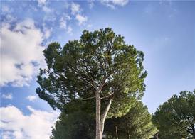 Rome Cavalieri, A Waldorf Astoria Hotel 4