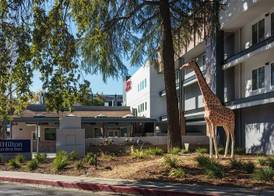 Hilton Garden Inn Davis Downtown 2