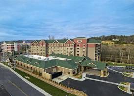 Black Fox Lodge Pigeon Forge, Tapestry Collection by Hilton 3