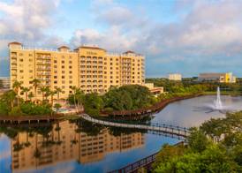 Hilton St. Petersburg Carillon Park 4