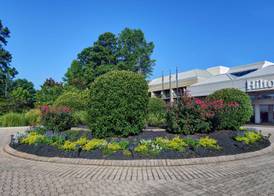 Hilton Peachtree City Atlanta Hotel & Conference Center 5