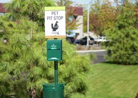 Home2 Suites by Hilton Seattle Airport 4