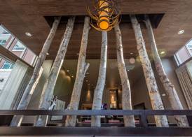 Homewood Suites by Hilton Charlotte Ballantyne, NC 2