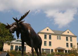 Hampton Inn Freeport/Brunswick 3
