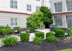 Homewood Suites by Hilton Columbus/Airport 3
