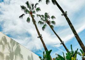 The Beverly Hilton 3