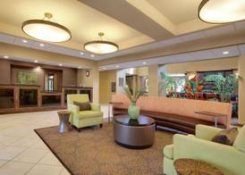 Homewood Suites by Hilton Tampa-Brandon 5