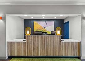 Spark by Hilton Killeen 3