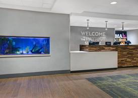 Hampton Inn Westfield 2