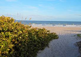 Hampton Inn Cocoa Beach/Cape Canaveral 4