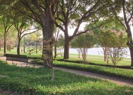 DoubleTree by Hilton Dallas - Farmers Branch 2