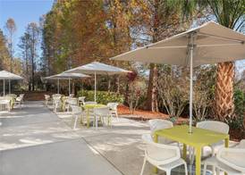 Hilton Garden Inn Tampa North 3