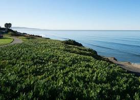 DoubleTree by Hilton San Diego/Del Mar 5