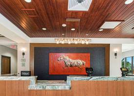 DoubleTree by Hilton San Antonio Northwest 5
