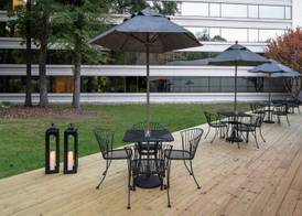 Hilton Durham near Duke University 5