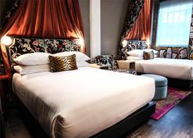 The Radical Asheville, Tapestry Collection by Hilton 5