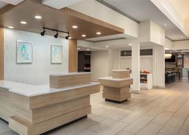 Hilton Garden Inn Tampa North 5