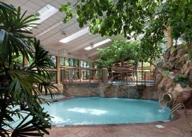 The Park Vista - a DoubleTree by Hilton Hotel - Gatlinburg 5
