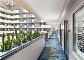 Embassy Suites by Hilton Orlando Airport 4
