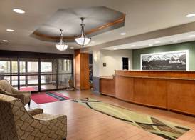 Hampton Inn & Suites Manchester-Bedford 4