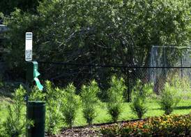 Home2 Suites By Hilton Orlando Airport 3