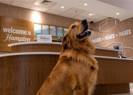 Hampton Inn & Suites Knoxville-Turkey Creek/Farragut 5