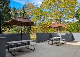 Spark By Hilton Stevensville 4