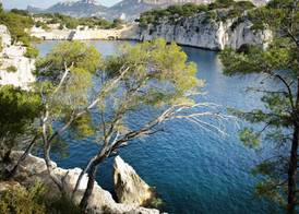 Novotel Marseille Est Porte d'Aubagne 5