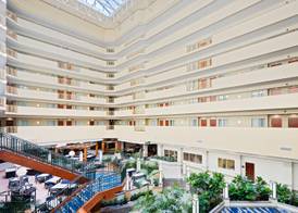 Embassy Suites by Hilton Tampa USF Near Busch Gardens 3