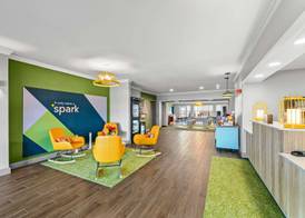 Spark by Hilton Killeen 4