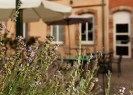 ibis Styles Toulouse Lavaur 3