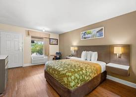 Econo Lodge Inn & Suites Lugoff 4