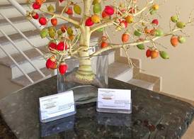 Montelaguna Boutique Hotel 2