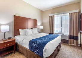 Comfort Suites Near Denver Downtown 4