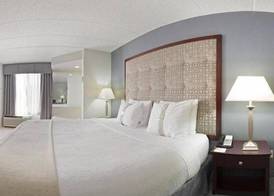 Holiday Inn & Suites CHICAGO-CAROL STREAM (WHEATON) by IHG 4